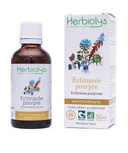 Echinacée pourpre (Echinacea purpurea) - Macérat de plantes fraîches BIO, 50 ml